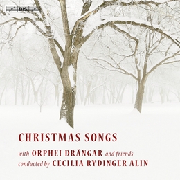 Image du média "ORPHEI DRÄNGAR - CHRISTMAS SONGS"