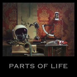 Image du média "PARTS OF LIFE de Paul KALKBRENNER"