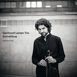 Image du média "SALMEKLANG de Gjermund LARSEN TRIO"