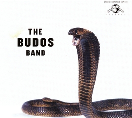 Image du média "THE BUDOS BAND III de THE BUDOS BAND"