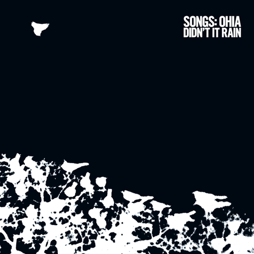 Couverture DIDN'T IT RAIN (DELUXE EDITION) de SONGS: OHIA