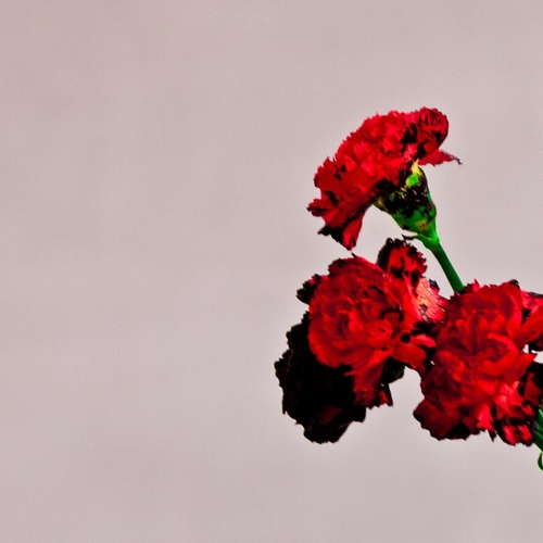 Couverture LOVE IN THE FUTURE de John LEGEND