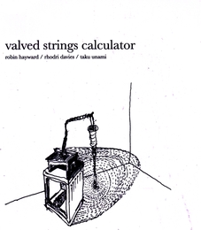 Image du média "VALVED STRINGS CALCULATER de Robin HAYWARD/RHODRI DAVIES/TAKU UNAMI"