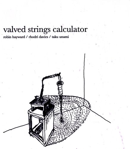 Couverture VALVED STRINGS CALCULATER de Robin HAYWARD/RHODRI DAVIES/TAKU UNAMI