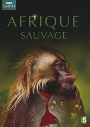 Image du média "AFRIQUE SAUVAGE - COFFRET DVD de Hugh PEARSON"