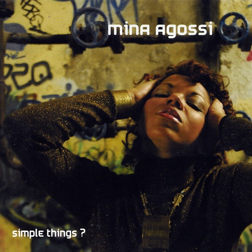 Couverture SIMPLE THINGS ? de Mina AGOSSI