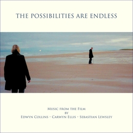 Image du média "THE POSSIBILITIES ARE ENDLESS de Edwyn COLLINS, CARWYN ELLIS, SEBASTIAN LEWSLEY"