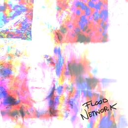 Image du média "FLOOD NETWORK de Katie DEY"