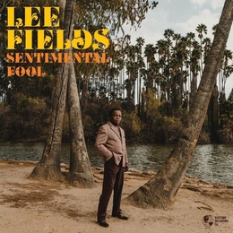 Image du média "SENTIMENTAL FOOL de Lee FIELDS"