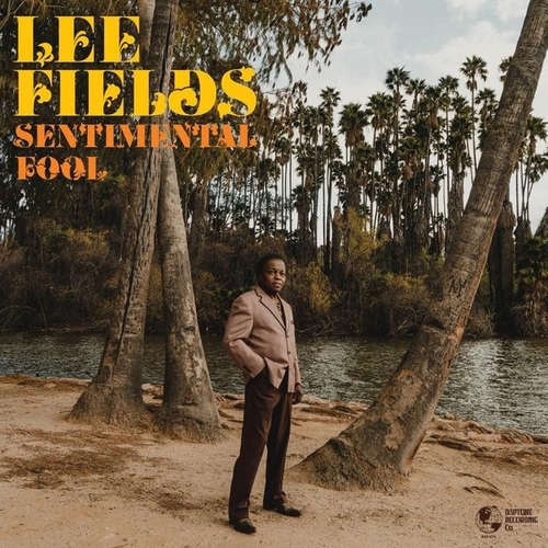 Couverture SENTIMENTAL FOOL de Lee FIELDS