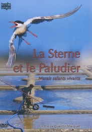 Image du média "LA STERNE ET LE PALUDIER de Quentin MARQUET"