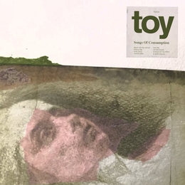 Image du média "SONGS OF CONSUMPTION de TOY (UK)"