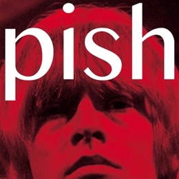 Image du média "MINI ALBUM THINGY WINGY de BRIAN JONESTOWN MASSACRE"