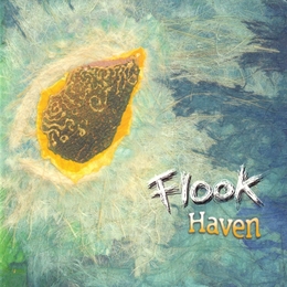 Image du média "HAVEN de FLOOK"