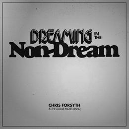 Image du média "DREAMING IN THE NON-DREAM de Chris FORSYTH & THE SOLAR MOTEL BAND"