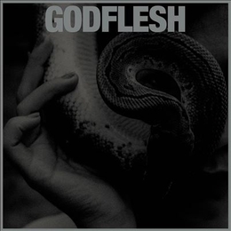 Image du média "PURGE de GODFLESH"