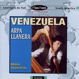 Image du média "VENEZUELA: ARPA LLANERA de Mario GUACARAN"