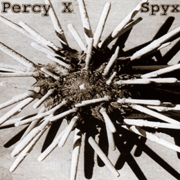 Image du média "SPYX de PERCY X"