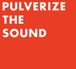 Image du média "PULVERIZE THE SOUND de PULVERIZE THE SOUND"