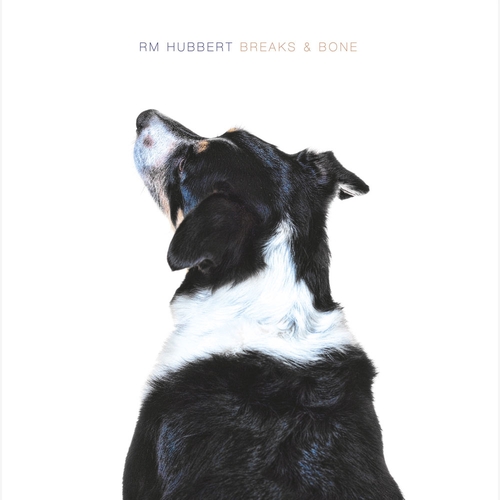 Couverture BREAKS & BONE de RM HUBBERT