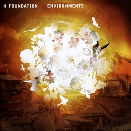 Image du média "ENVIRONMENTS de H_FOUNDATION"