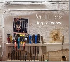 Image du média "DOG OF TEAHAN de MULTITUDE"