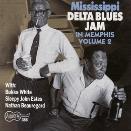 Image du média "MISSISSIPPI DELTA BLUES JAM IN MEMPHIS, VOL.2 de DELTA MISSISSIPPI"