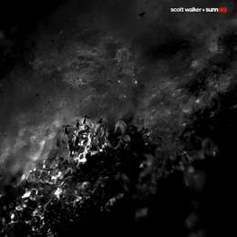 Image du média "SOUSED de Scott WALKER + SUNN O)))"