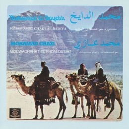 Image du média "SOIREE AVEC CHADI EL BADIYA - MOUWACHAHAT EL ANDALOUSIAT de MOHAMED EL DAYEKH - MOHAMAD GHAZI"