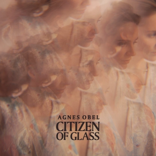 Couverture CITIZEN OF GLASS de Agnes OBEL