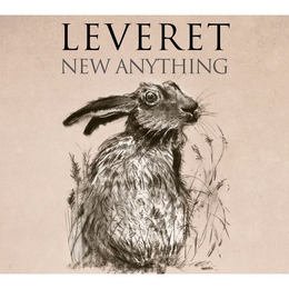 Image du média "NEW ANYTHING de LEVERET"