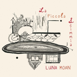 Image du média "LA PICCOLA SCIMMIA de LUNA MOAN"