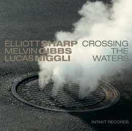 Image du média "CROSSING THE WATERS de Elliott SHARP/GIBBS/NIGGLI"