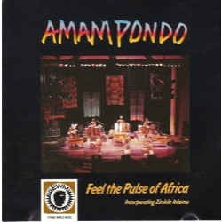 Image du média "FEEL THE PULSE OF AFRICA de AMAMPONDO"