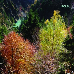 Image du média "WALD de POLE"