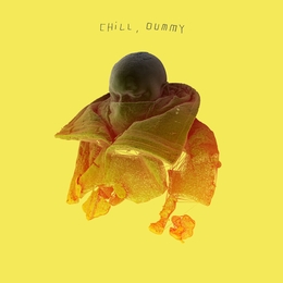 Image du média "CHILL DUMMY de P.O.S"