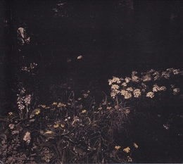 Image du média "PALE BLOOM de Sarah DAVACHI"