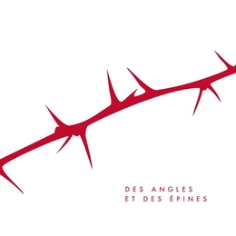 Image du média "DES ANGLES ET DES ÉPINES de CABADZI"