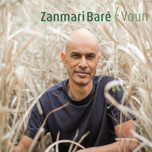 Couverture VOUN de Zanmari BARÉ