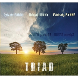 Image du média "TRIAD de Pádraig RYNNE, SYLVAIN BAROU, DÓNAL LUNNY"