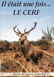 Image du média "IL ÉTAIT UNE FOIS LE CERF de Anthony MARTIN"