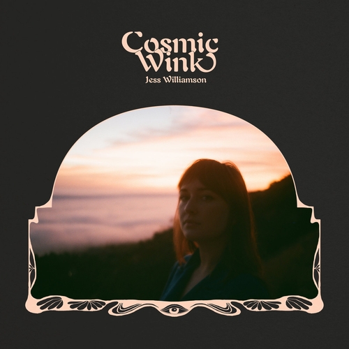 Couverture COSMIC WINK de Jess WILLIAMSON