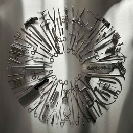 Image du média "SURGICAL STEEL de CARCASS"