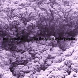 Image du média "INTO THE GREAT WIDE YONGER de TRENTEMOLLER"