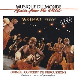 Image du média "GUINÉE: CONCERT DE PERCUSSIONS - IYO de WOFA"