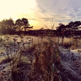 Image du média "LEAVE ME BREATHLESS de Ane BRUN"