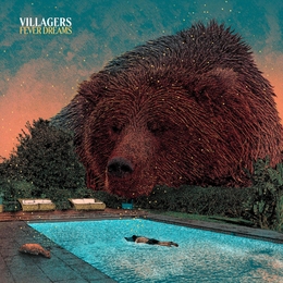 Image du média "FEVER DREAMS de VILLAGERS"