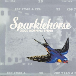 Image du média "GOOD MORNING SPIDER de SPARKLEHORSE"