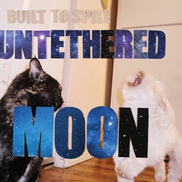 Image du média "UNETHERED MOON de BUILT TO SPILL"