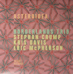 Image du média "BORDERLANDS TRIO de Stephan CRUMP/DAVIS/MCPHERSON"